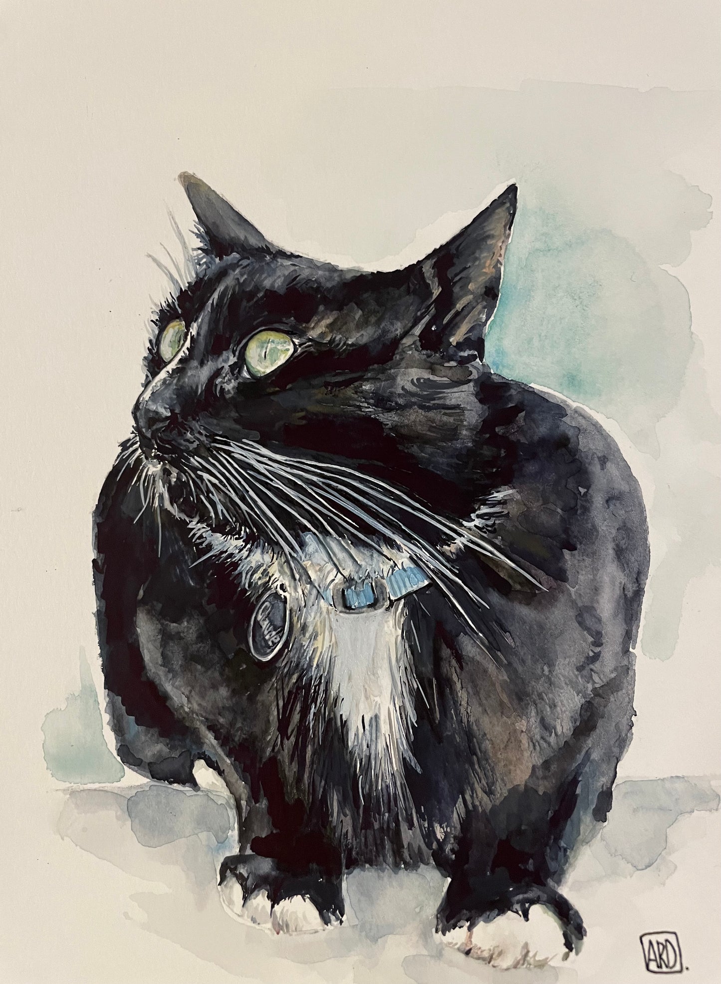 CUSTOM PET PORTRAIT