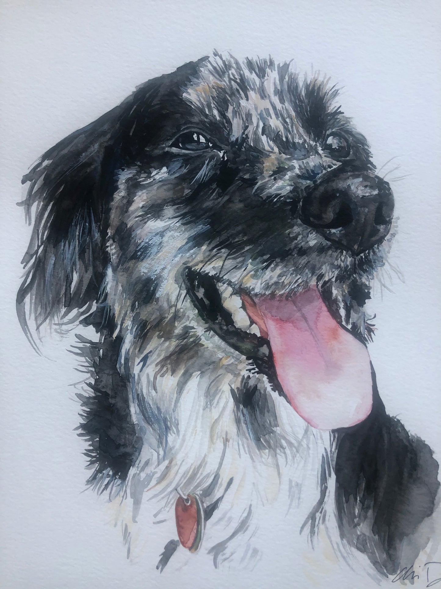 CUSTOM PET PORTRAIT