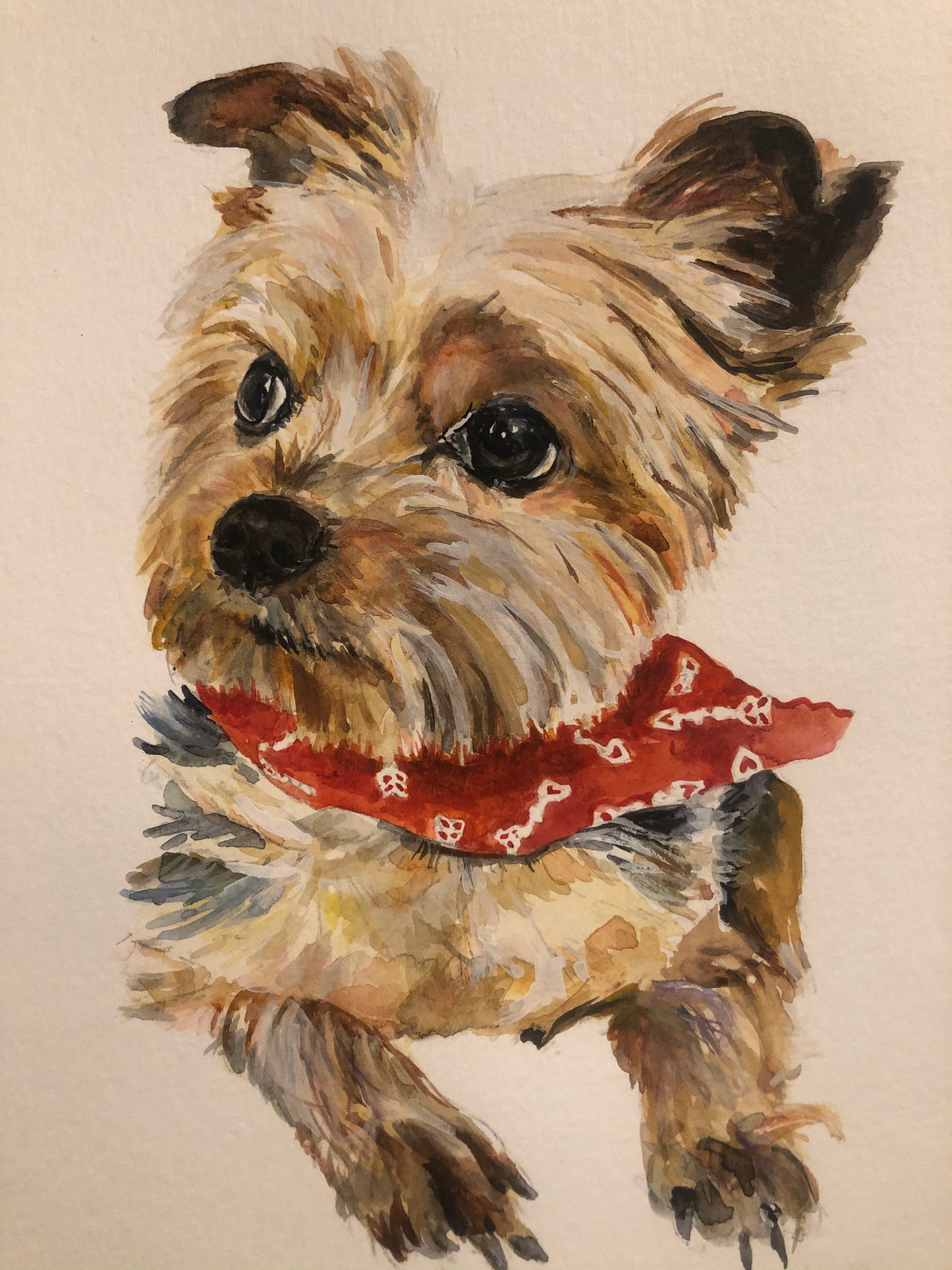 CUSTOM PET PORTRAIT