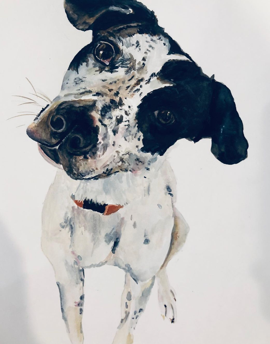 CUSTOM PET PORTRAIT