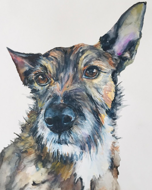 CUSTOM PET PORTRAIT